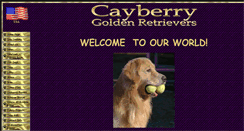 Desktop Screenshot of cayberry.com