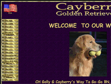 Tablet Screenshot of cayberry.com